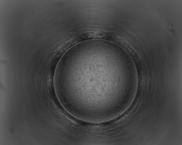 X0000090890513200708031055