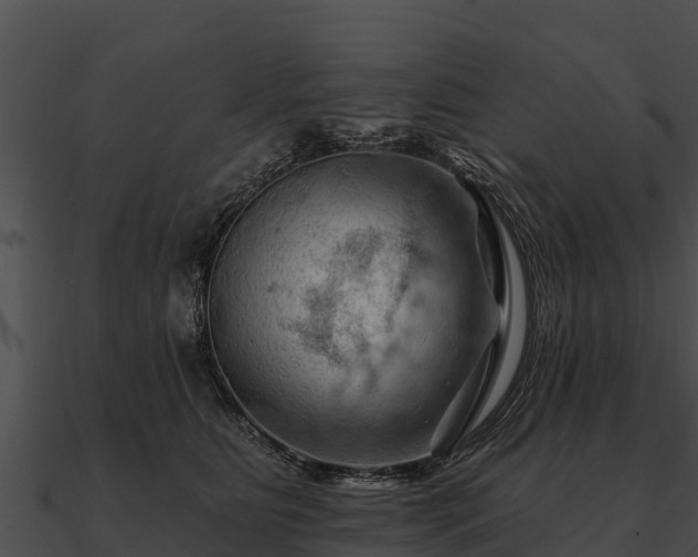 X0000090890515200708031055