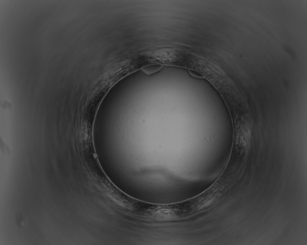 X0000090890518200708031055