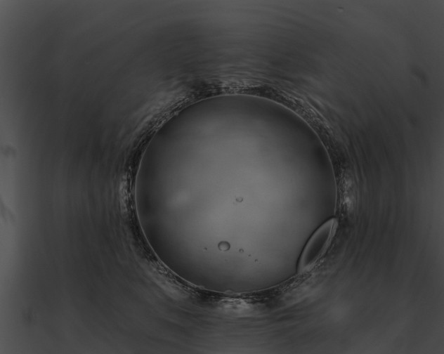 X0000090890519200708031055