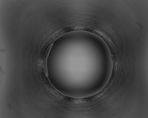 X0000090890521200708031055