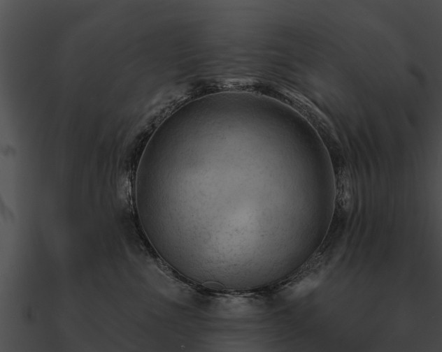 X0000090890523200708031055