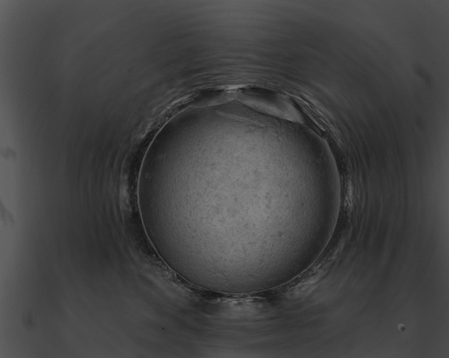 X0000090890524200708031055