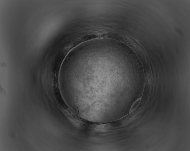 X0000090890527200708031055