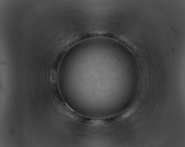 X0000090890528200708031055