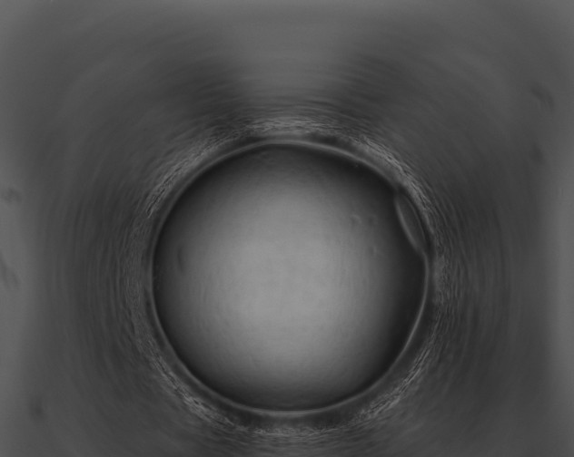 X0000090890529200708031054