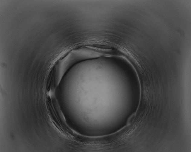 X0000090890530200708031054