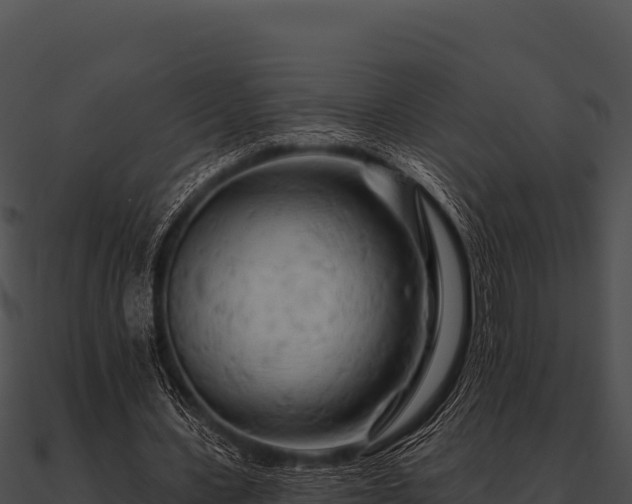 X0000090890531200708031054