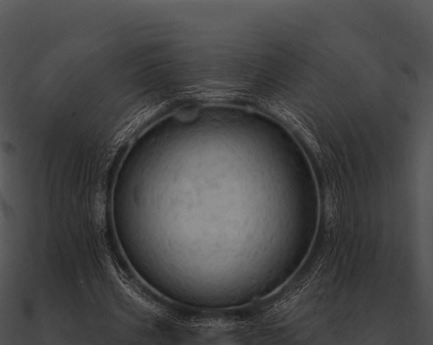 X0000090890533200708031054