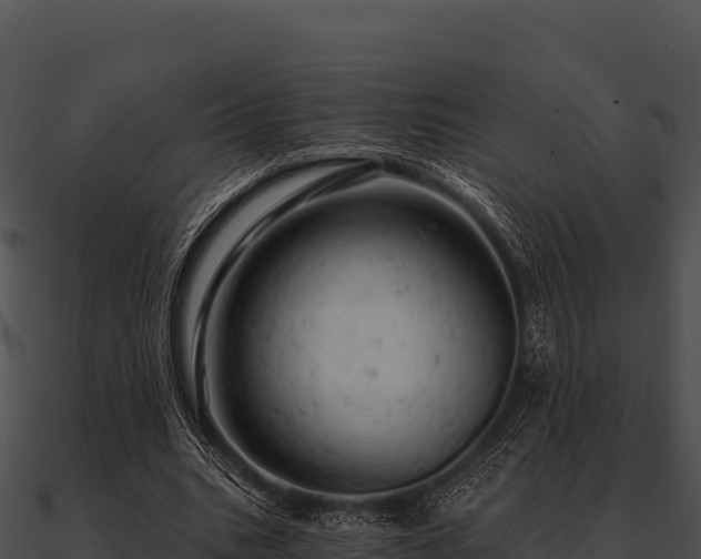 X0000090890535200708031054