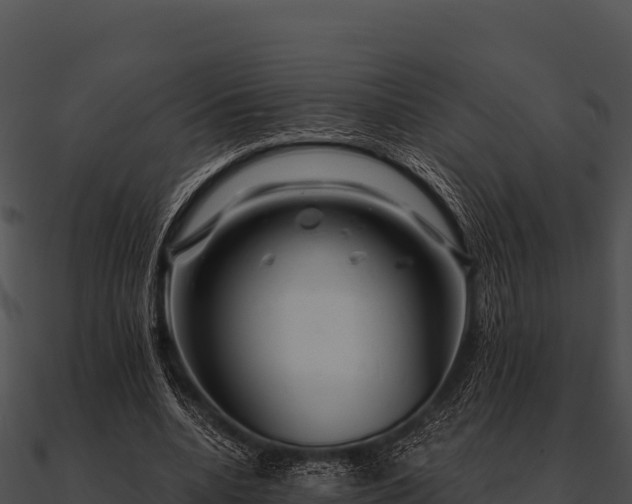 X0000090890536200708031054