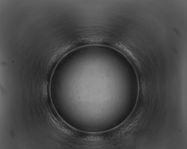 X0000090890537200708031054