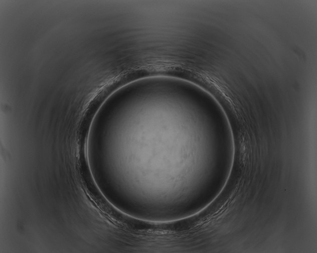 X0000090890539200708031054