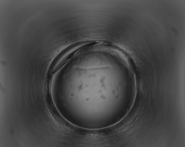 X0000090890540200708031054