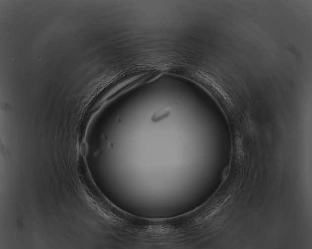 X0000090890541200708031054