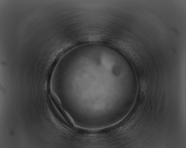 X0000090890542200708031054