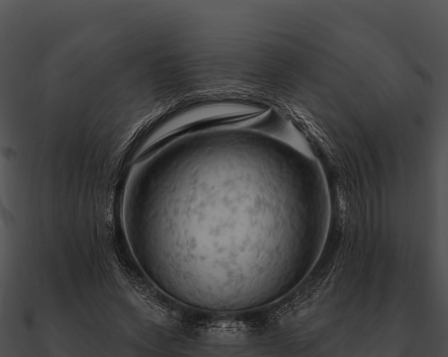 X0000090890543200708031054