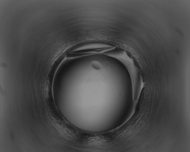 X0000090890544200708031054