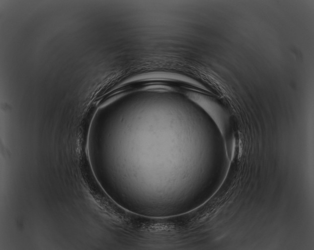 X0000090890546200708031054