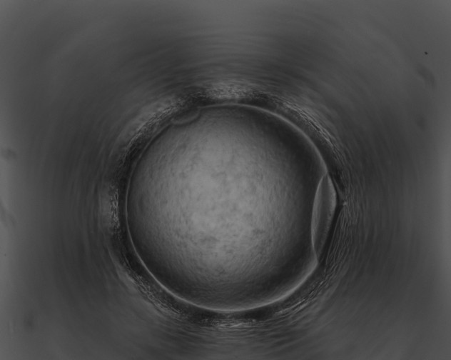 X0000090890547200708031054