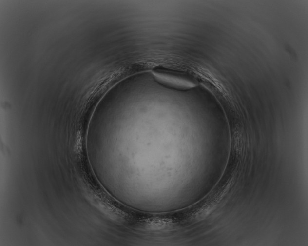 X0000090890549200708031054