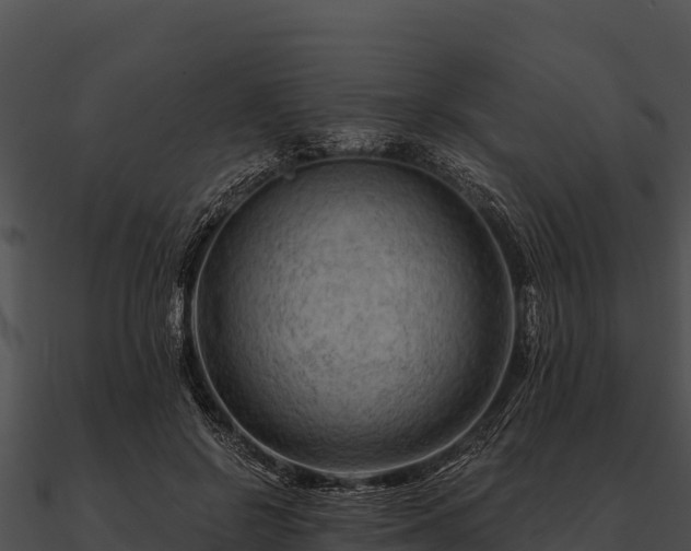 X0000090890550200708031054