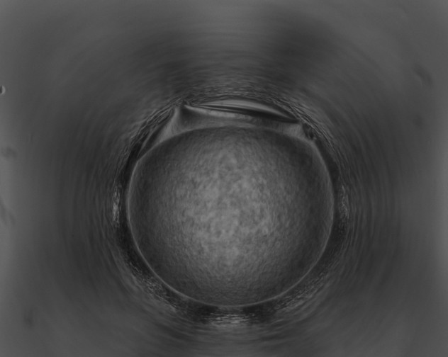 X0000090890551200708031054