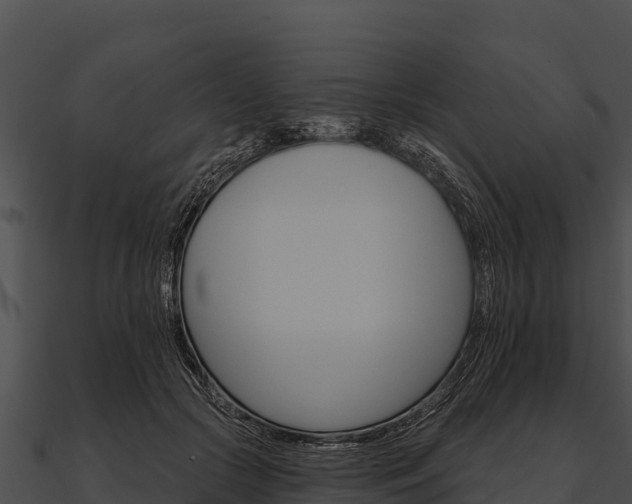 X0000090890553200708031054