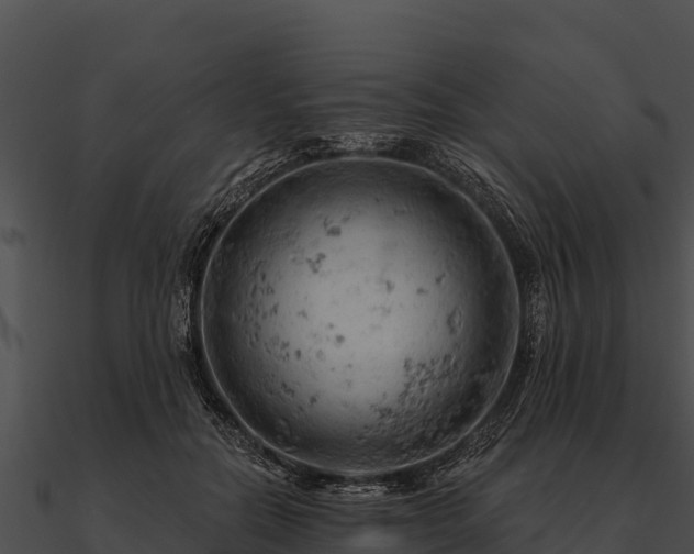 X0000090890554200708031054