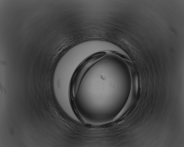 X0000090890556200708031054