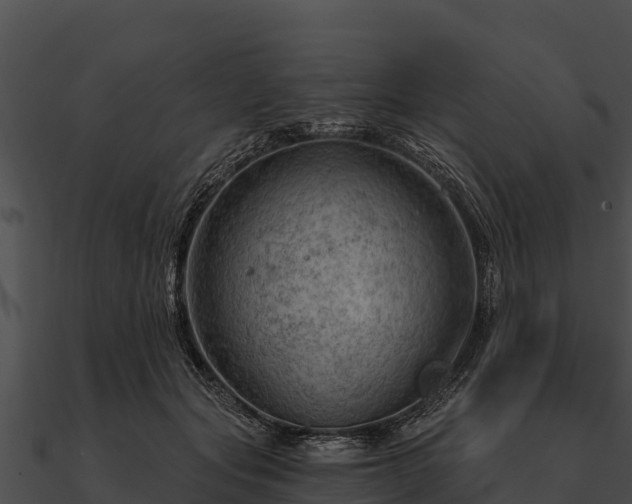 X0000090890557200708031054