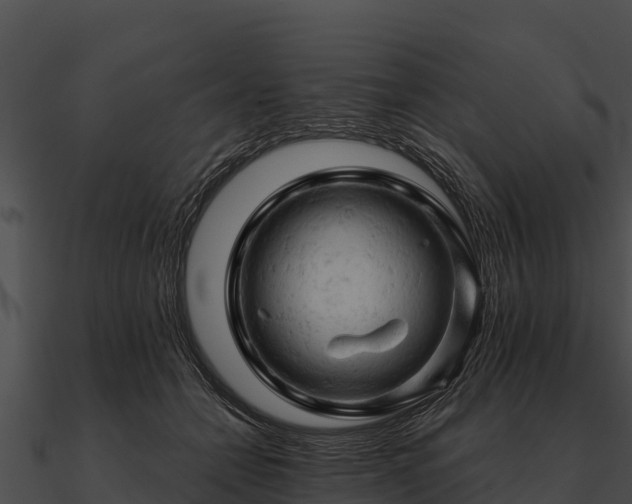 X0000090890558200708031054