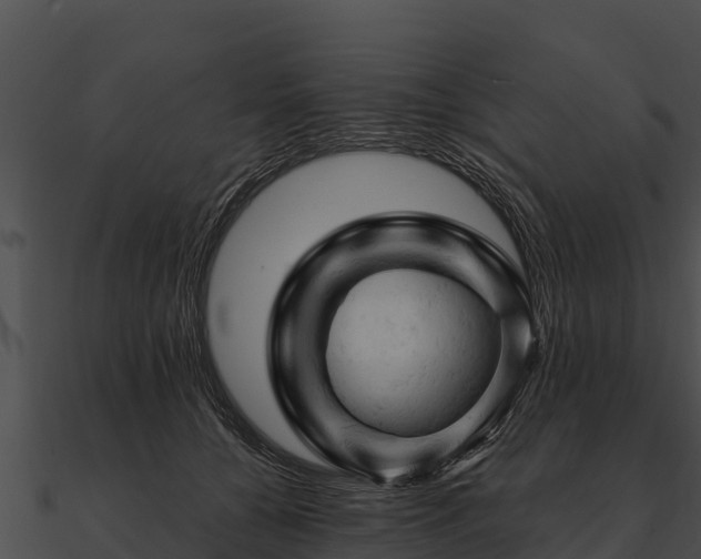 X0000090890560200708031054