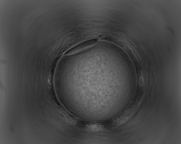 X0000090890561200708031054