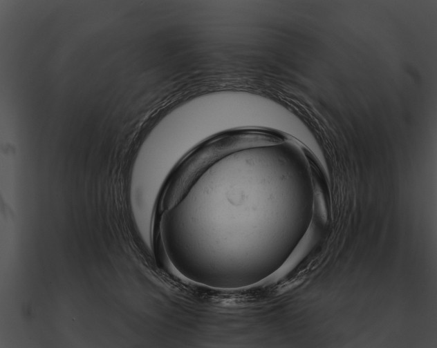 X0000090890564200708031054