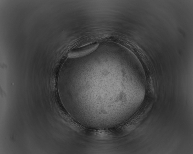 X0000090890565200708031054