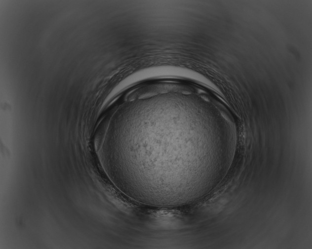 X0000090890566200708031054