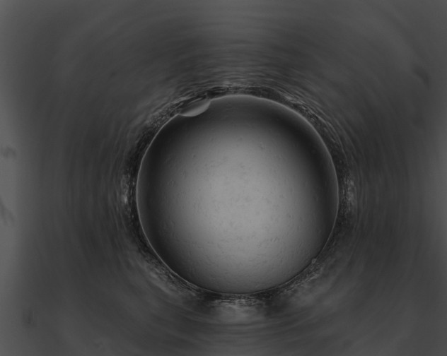 X0000090890567200708031054