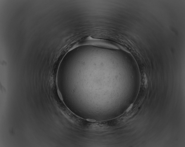 X0000090890568200708031054