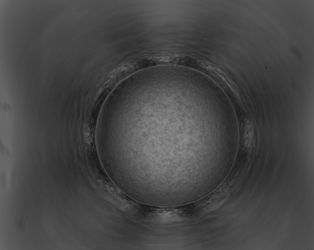 X0000090890569200708031054