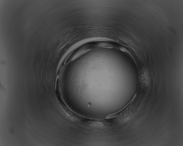 X0000090890572200708031054