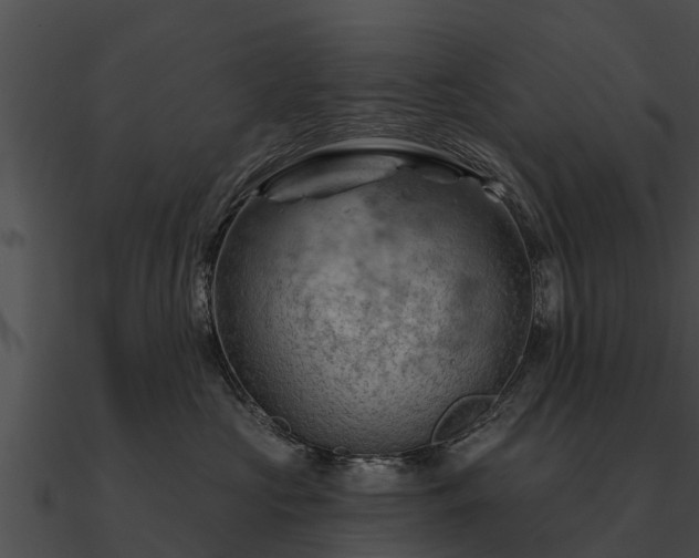 X0000090890573200708031054