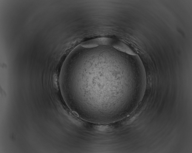 X0000090890575200708031055