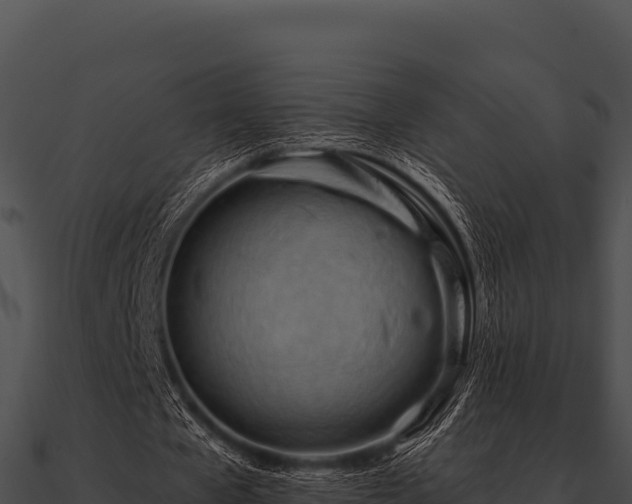 X0000090890577200708031054