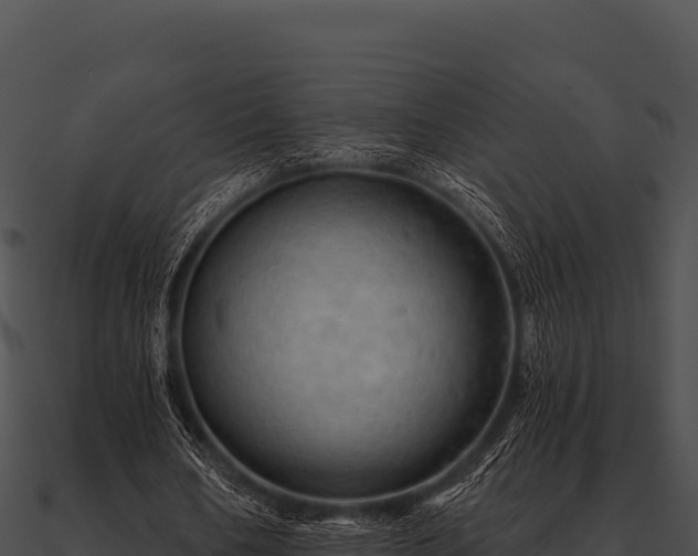 X0000090890578200708031054