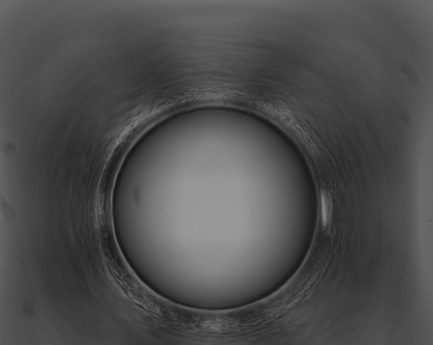 X0000090890579200708031054