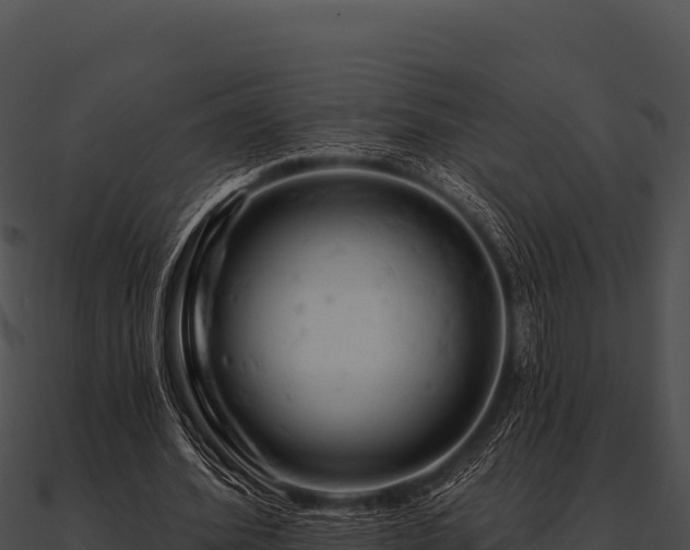 X0000090890580200708031054