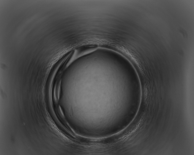 X0000090890581200708031054