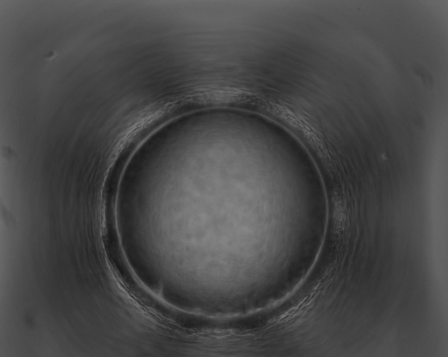 X0000090890582200708031054