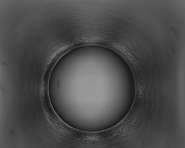 X0000090890583200708031054